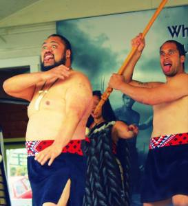 The fierce Maoris